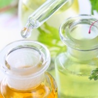 Strahlende Augen unter dem Weihnachtsbaum | Style my World