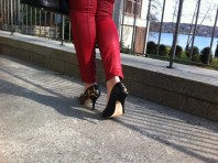 Leo-Pumps