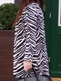zebra mantel