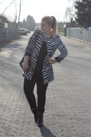 zebra
