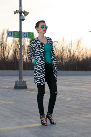 ZEBRA | Style my Fashion