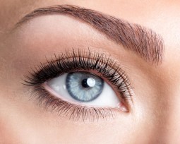 Beauty-Tipps rund um die Augenbrauen | Style my Fashion